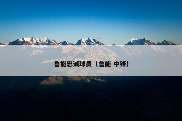 鲁能忠诚球员（鲁能 中锋）