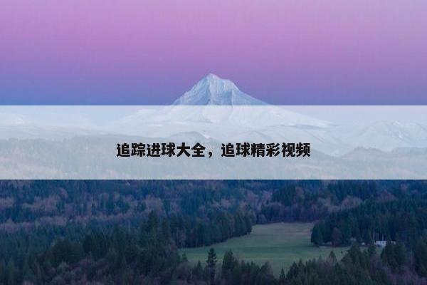 追踪进球大全，追球精彩视频