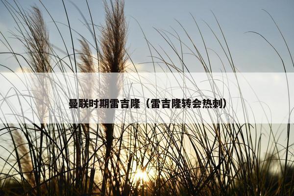 曼联时期雷吉隆（雷吉隆转会热刺）
