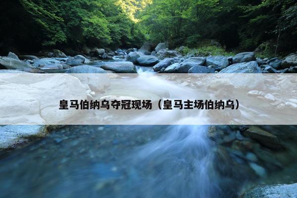 皇马伯纳乌夺冠现场（皇马主场伯纳乌）