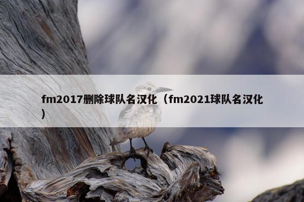 fm2017删除球队名汉化（fm2021球队名汉化）
