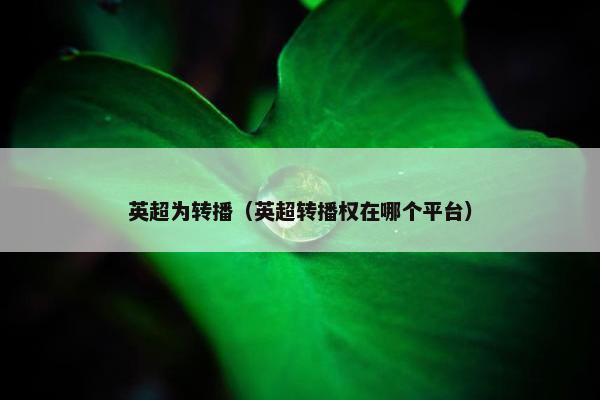 英超为转播（英超转播权在哪个平台）