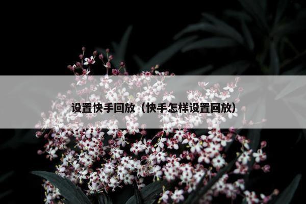 设置快手回放（快手怎样设置回放）