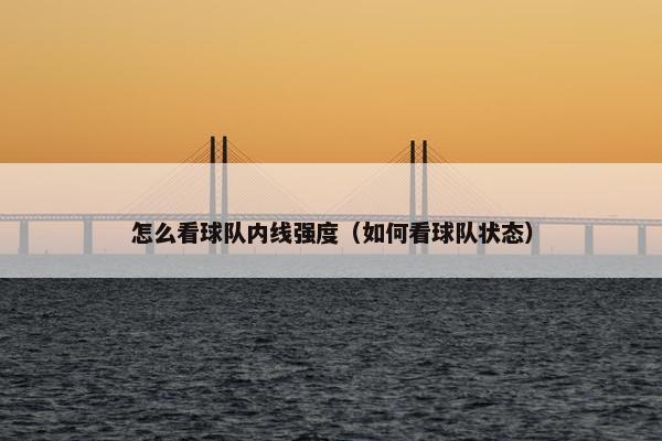 怎么看球队内线强度（如何看球队状态）