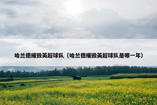 哈兰德摧毁英超球队（哈兰德摧毁英超球队是哪一年）