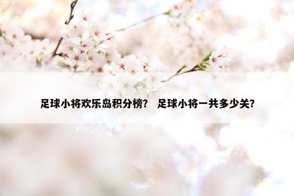足球小将欢乐岛积分榜？ 足球小将一共多少关？