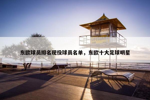 东欧球员排名现役球员名单，东欧十大足球明星