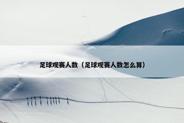 足球观赛人数（足球观赛人数怎么算）