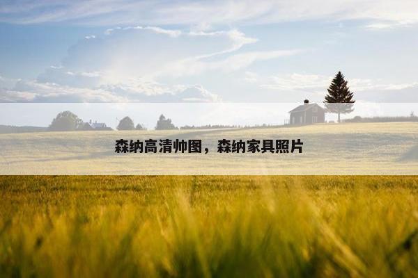 森纳高清帅图，森纳家具照片