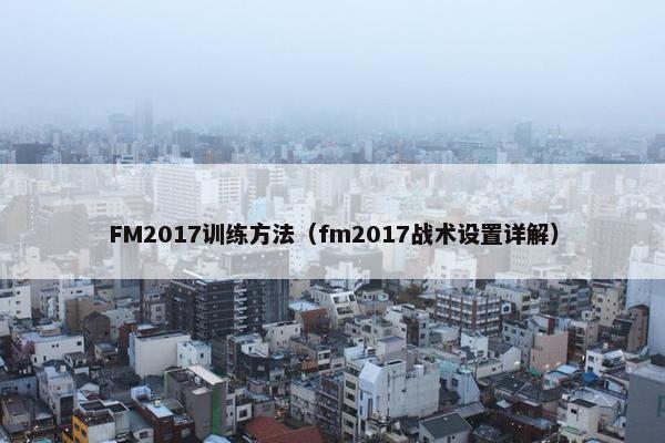 FM2017训练方法（fm2017战术设置详解）