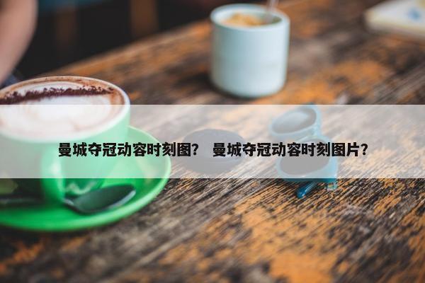 曼城夺冠动容时刻图？ 曼城夺冠动容时刻图片？