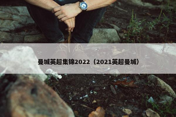 曼城英超集锦2022（2021英超曼城）