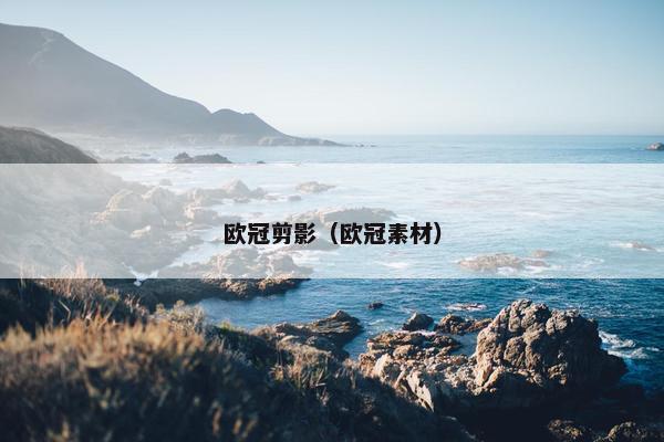 欧冠剪影（欧冠素材）