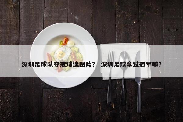 深圳足球队夺冠球迷图片？ 深圳足球拿过冠军嘛？