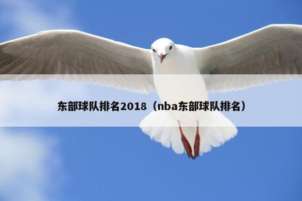 东部球队排名2018（nba东部球队排名）