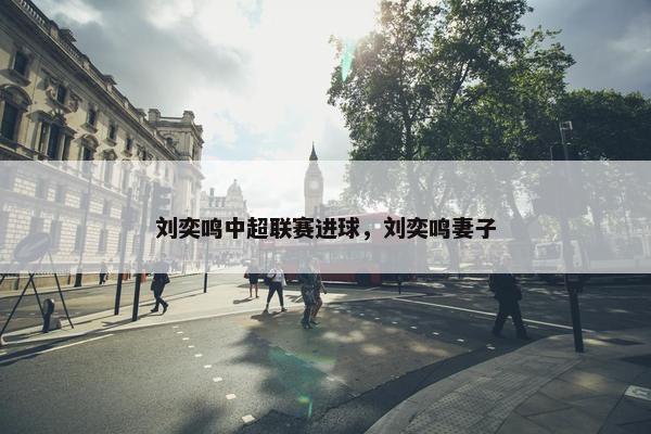 刘奕鸣中超联赛进球，刘奕鸣妻子