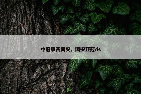 中冠联赛国安，国安亚冠ds