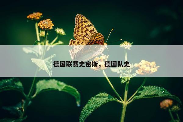 德国联赛史密斯，德国队史