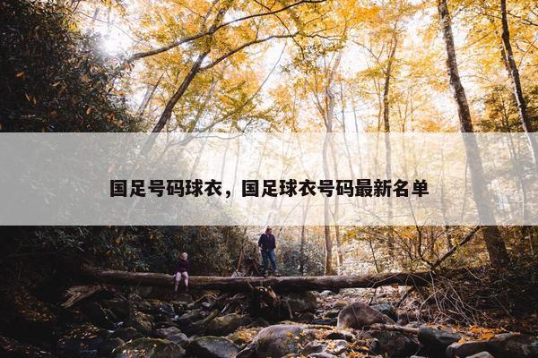 国足号码球衣，国足球衣号码最新名单