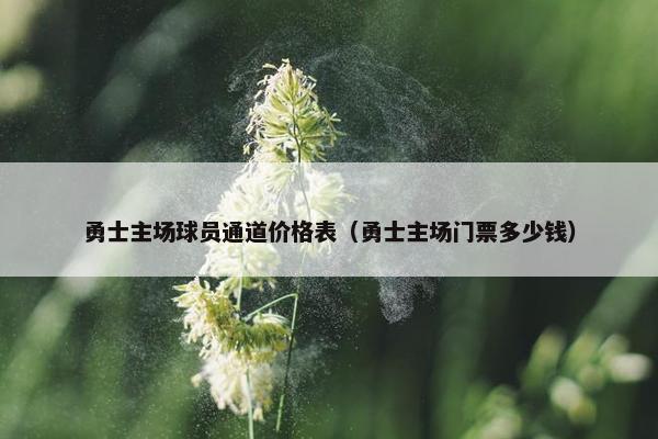 勇士主场球员通道价格表（勇士主场门票多少钱）