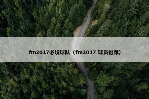 fm2017必玩球队（fm2017 球员推荐）