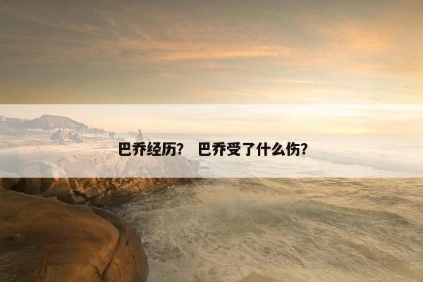 巴乔经历？ 巴乔受了什么伤？