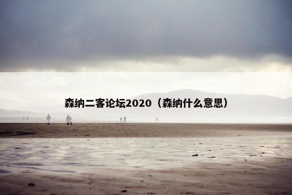 森纳二客论坛2020（森纳什么意思）