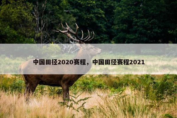 中国田径2020赛程，中国田径赛程2021