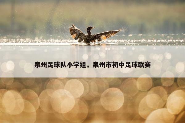 泉州足球队小学组，泉州市初中足球联赛