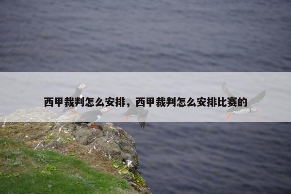 西甲裁判怎么安排，西甲裁判怎么安排比赛的