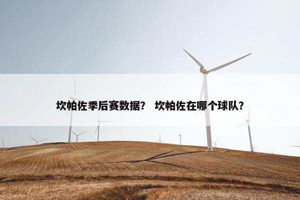 坎帕佐季后赛数据？ 坎帕佐在哪个球队？