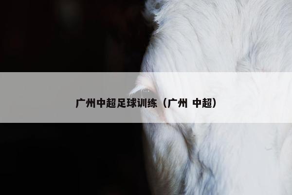 广州中超足球训练（广州 中超）