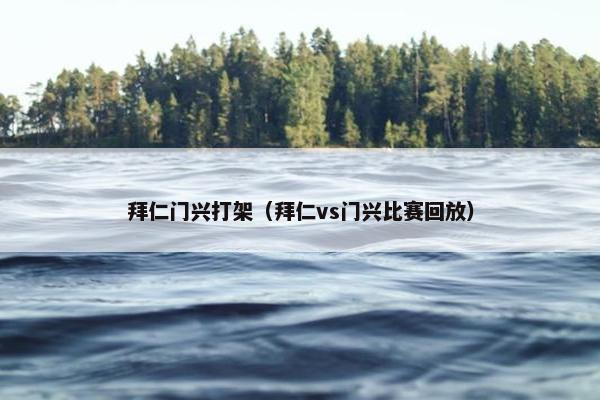 拜仁门兴打架（拜仁vs门兴比赛回放）