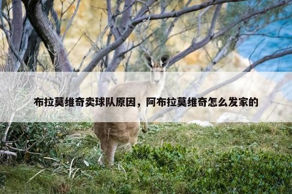 布拉莫维奇卖球队原因，阿布拉莫维奇怎么发家的
