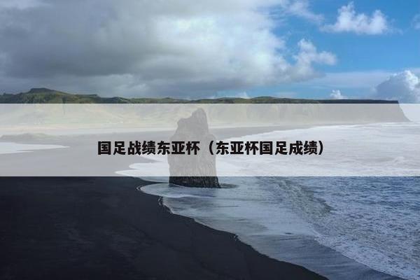 国足战绩东亚杯（东亚杯国足成绩）