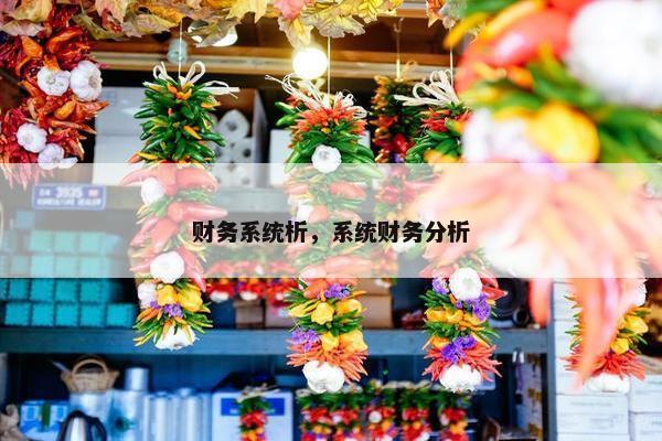 财务系统析，系统财务分析