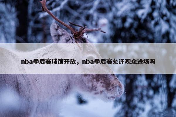 nba季后赛球馆开放，nba季后赛允许观众进场吗