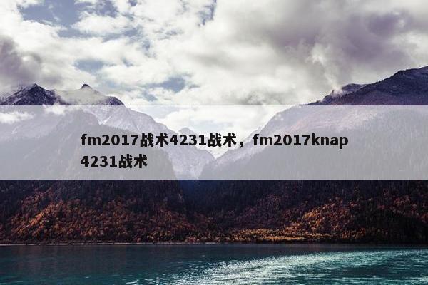 fm2017战术4231战术，fm2017knap4231战术