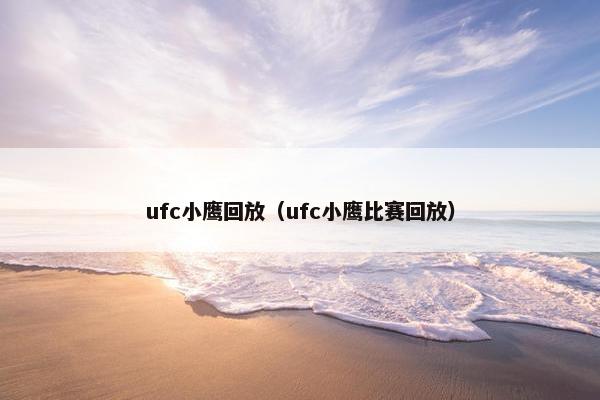 ufc小鹰回放（ufc小鹰比赛回放）