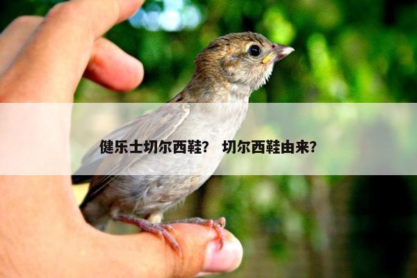 健乐士切尔西鞋？ 切尔西鞋由来？