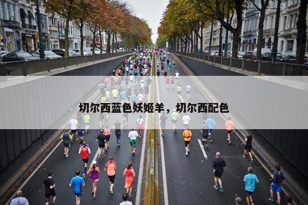 切尔西蓝色妖姬羊，切尔西配色
