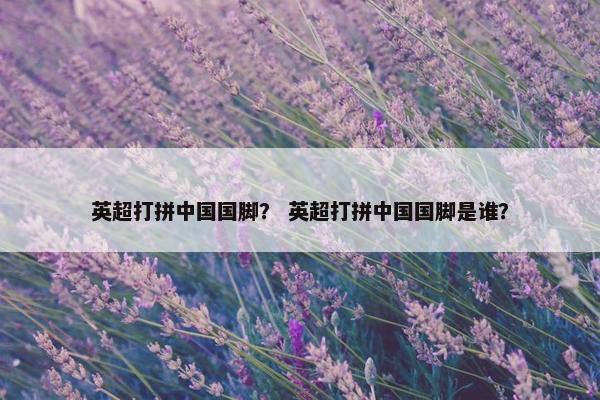 英超打拼中国国脚？ 英超打拼中国国脚是谁？