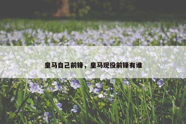皇马自己前锋，皇马现役前锋有谁