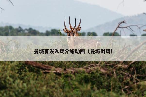 曼城首发入场介绍动画（曼城出场）