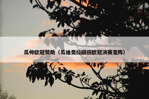 瓜帅欧冠赞助（瓜迪奥拉回应欧冠决赛变阵）