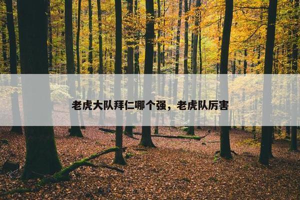 老虎大队拜仁哪个强，老虎队厉害