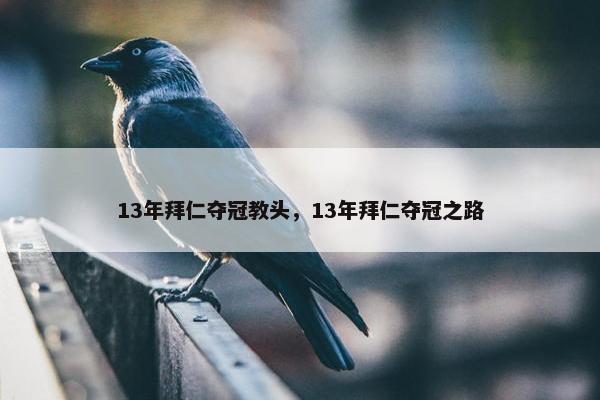 13年拜仁夺冠教头，13年拜仁夺冠之路
