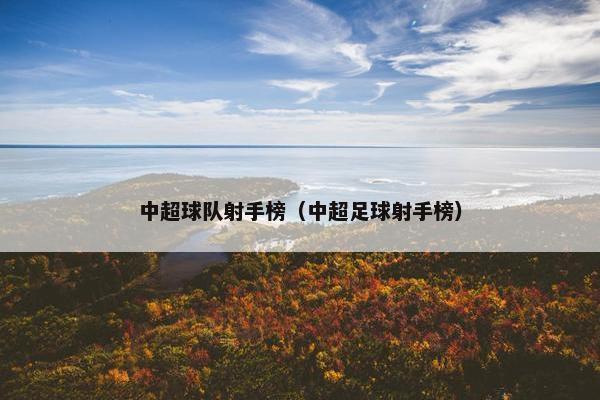 中超球队射手榜（中超足球射手榜）