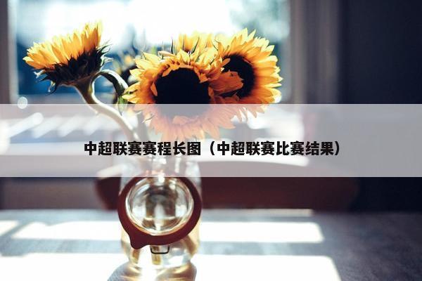 中超联赛赛程长图（中超联赛比赛结果）
