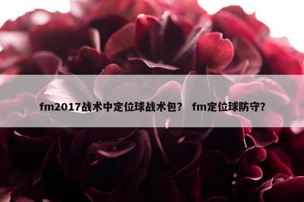 fm2017战术中定位球战术包？ fm定位球防守？